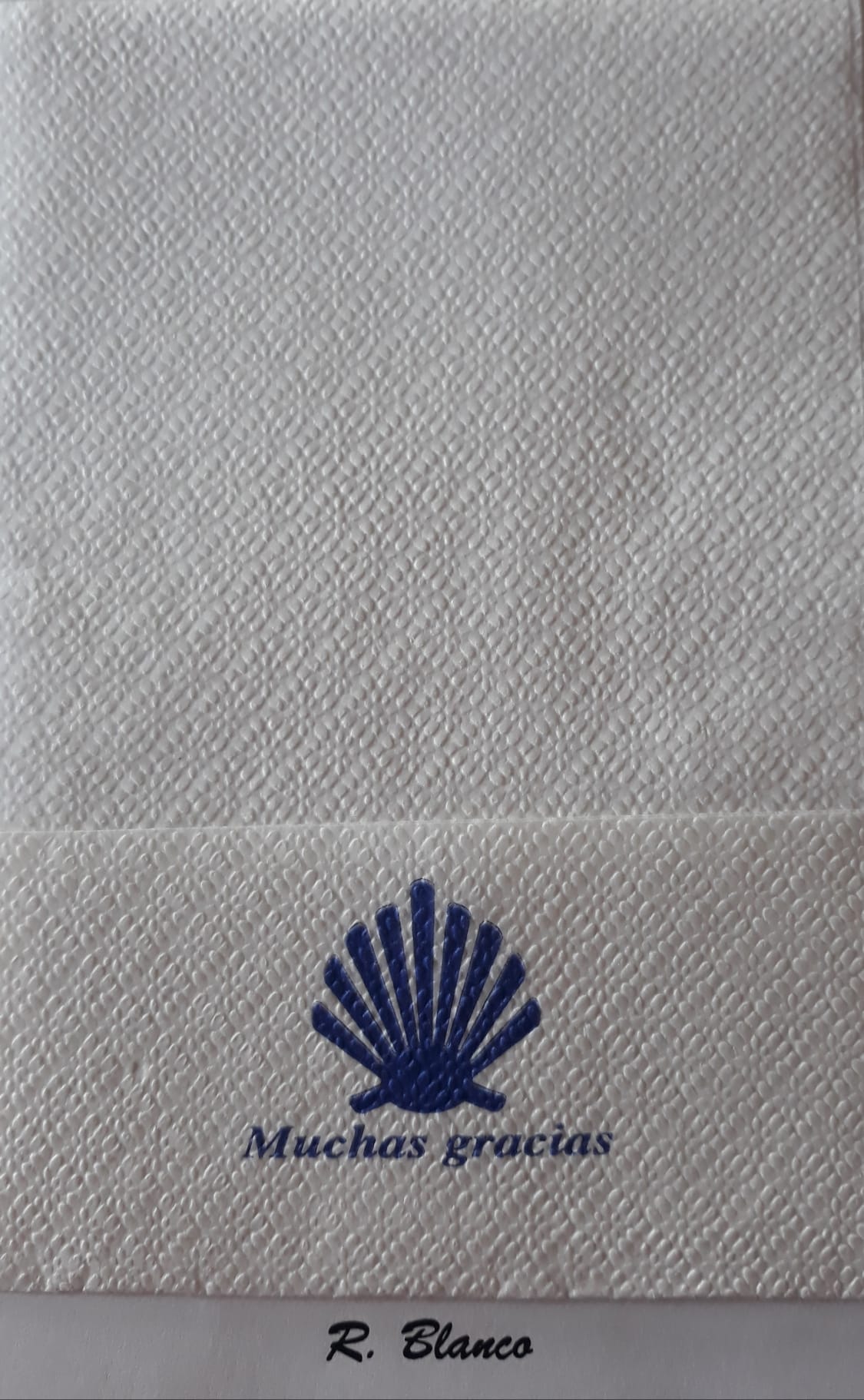 DIBUJO CONCHA