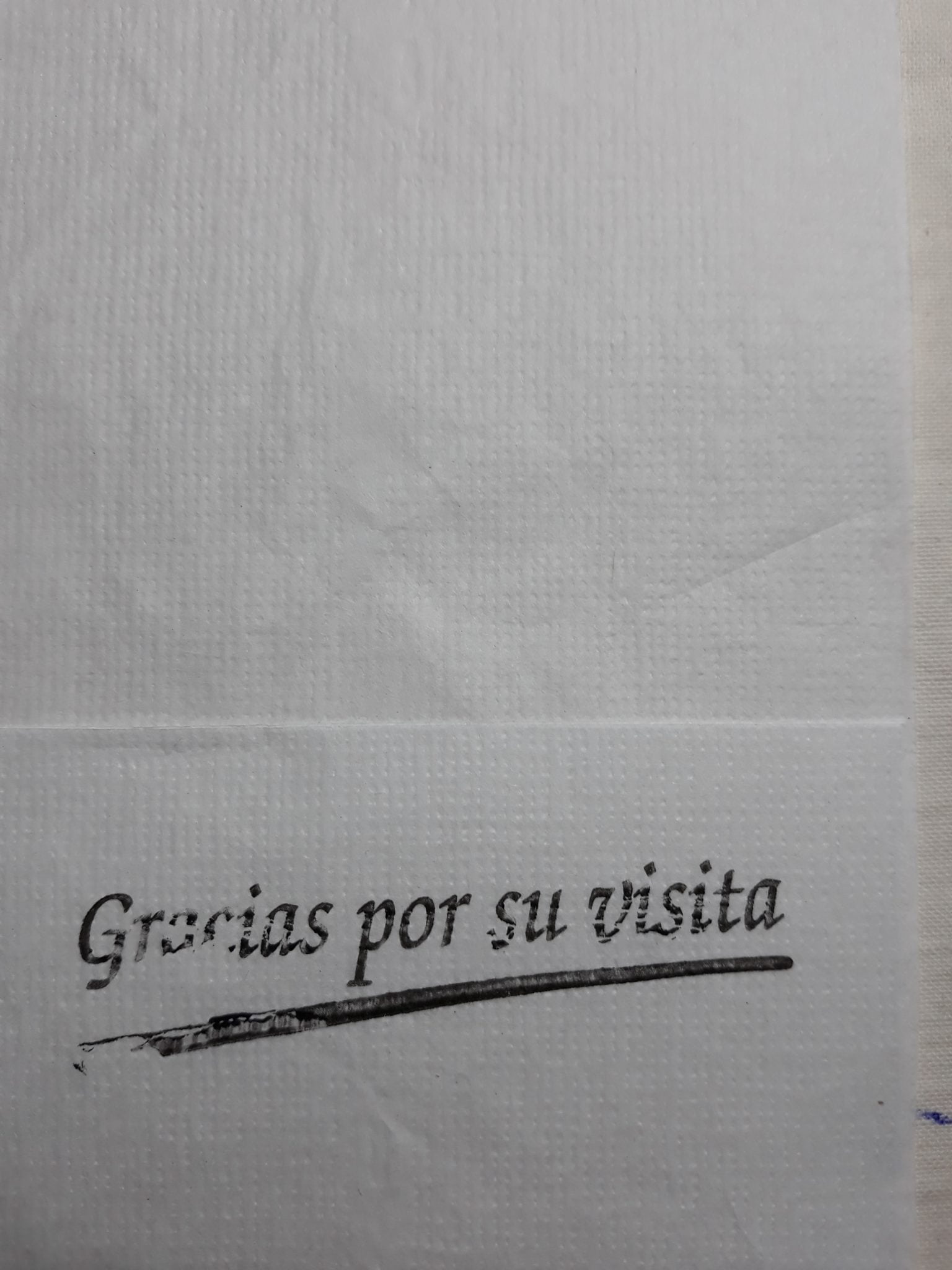 GRACIAS POR SU VSITA SUBRAYADO