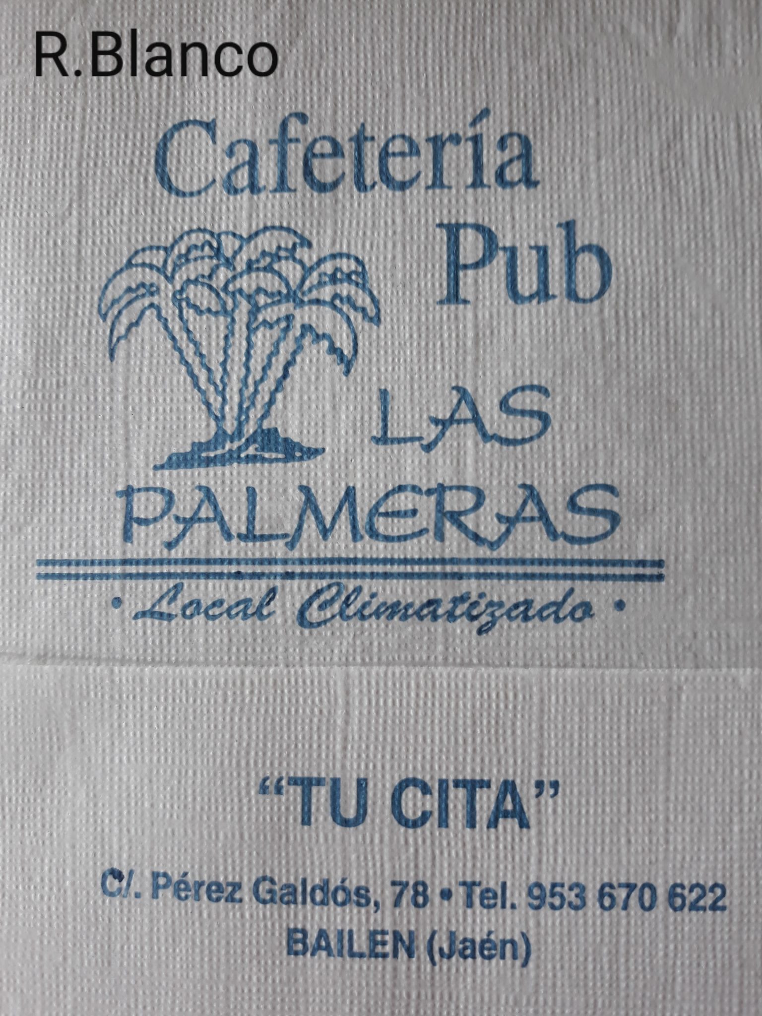 LAS PALMERAS (BAILEN)