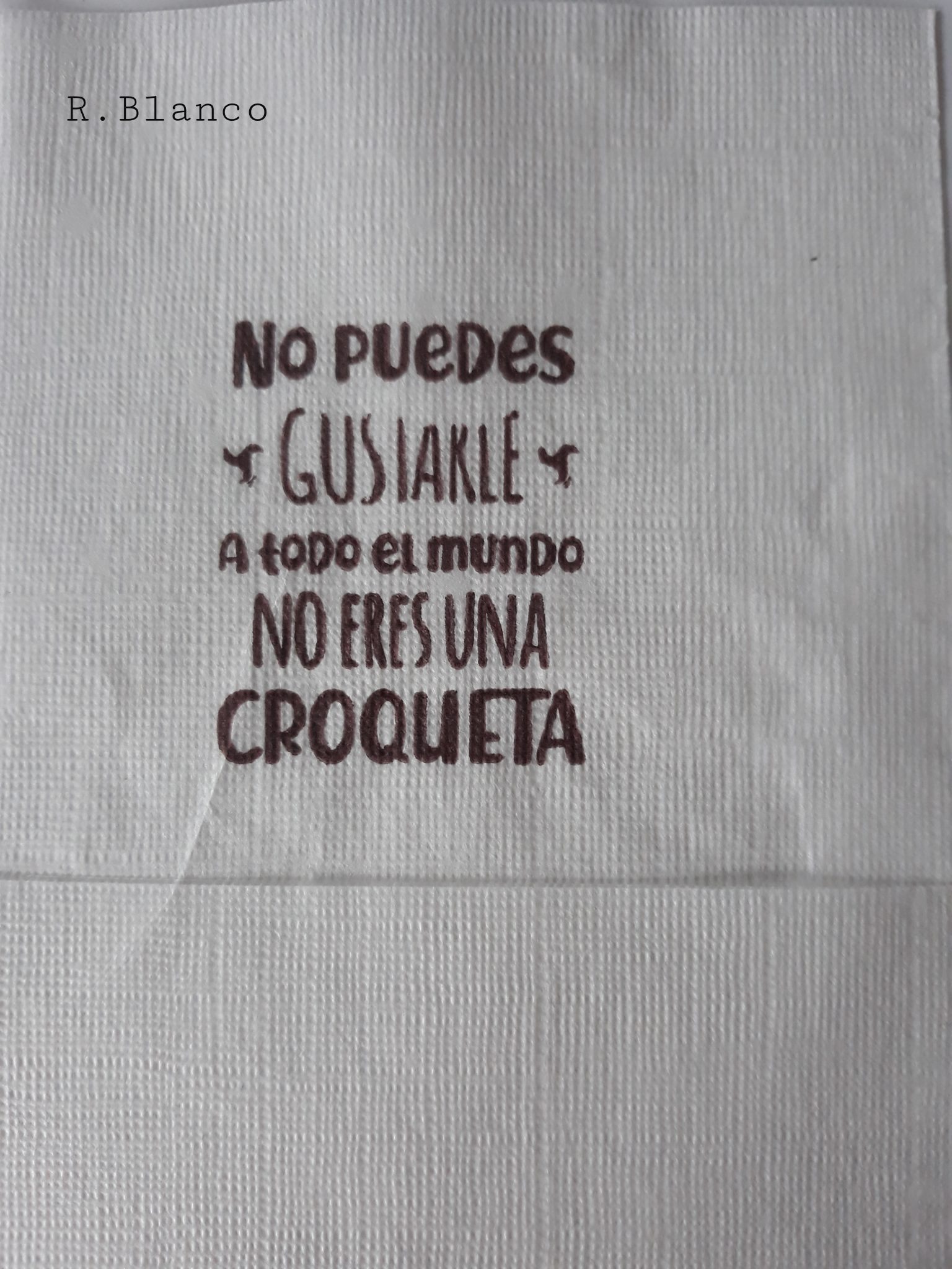 NO PUEDES GUSTARLE A TODO EL MUNDO NO ERES UNA CROQUETA