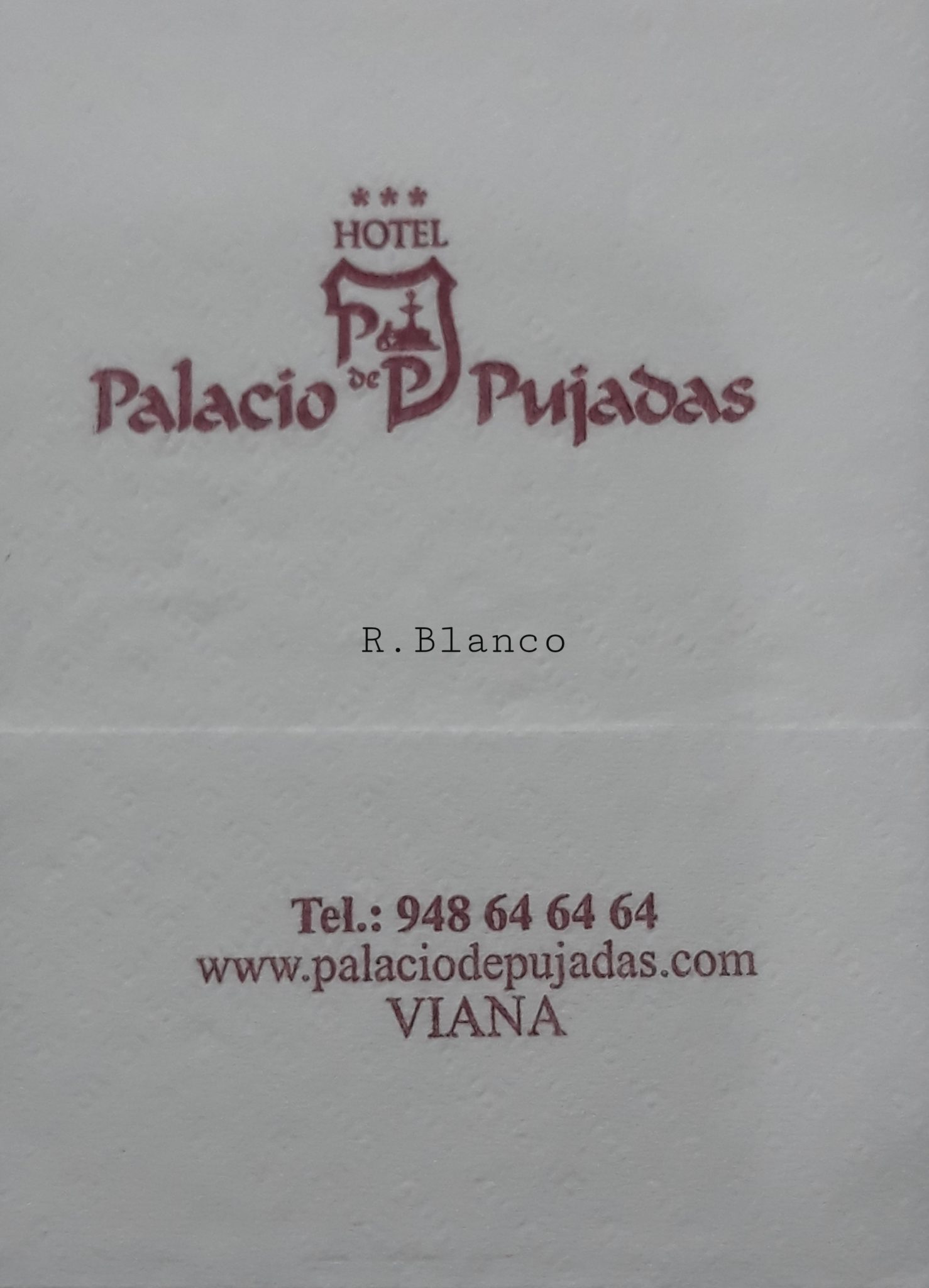 PALACIO DE PUJADAS (VIANA)