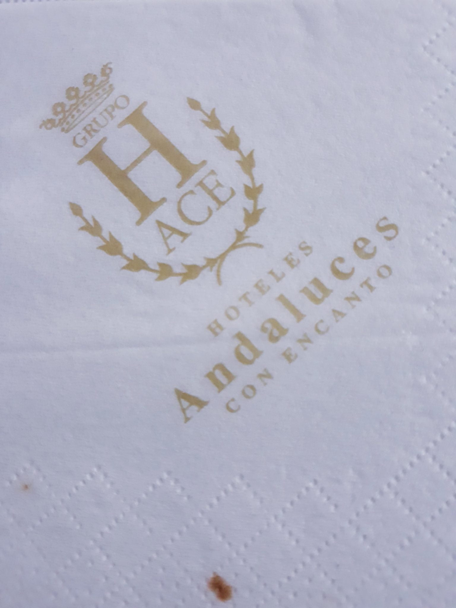 ACE HOTELES ANDALUCES