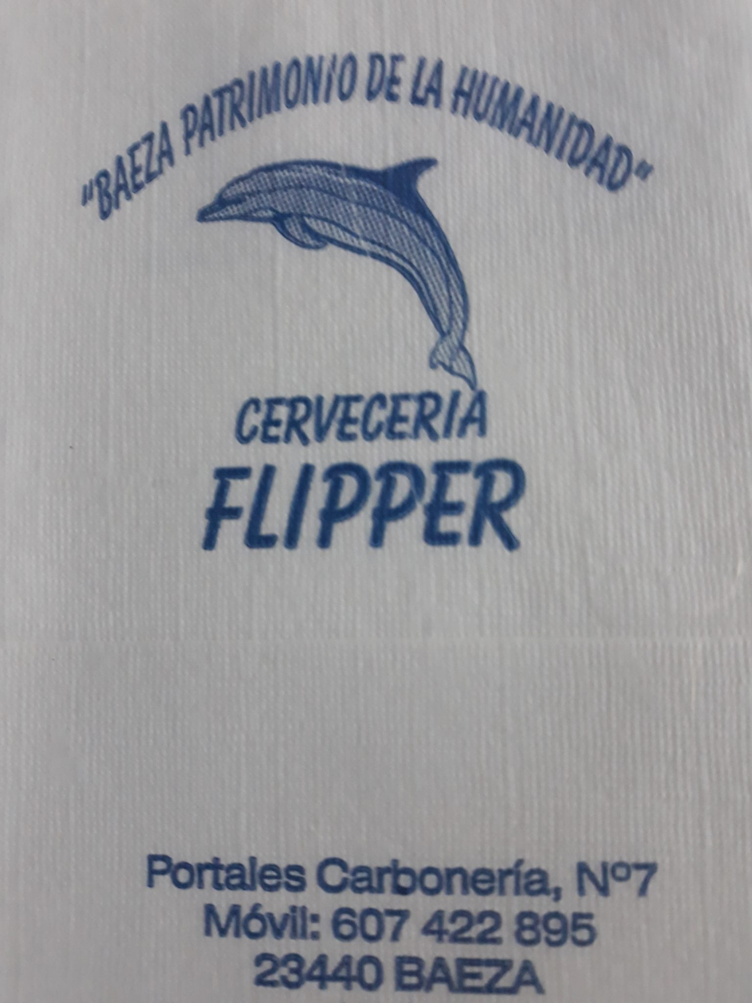 FLIPPER (BAEZA)