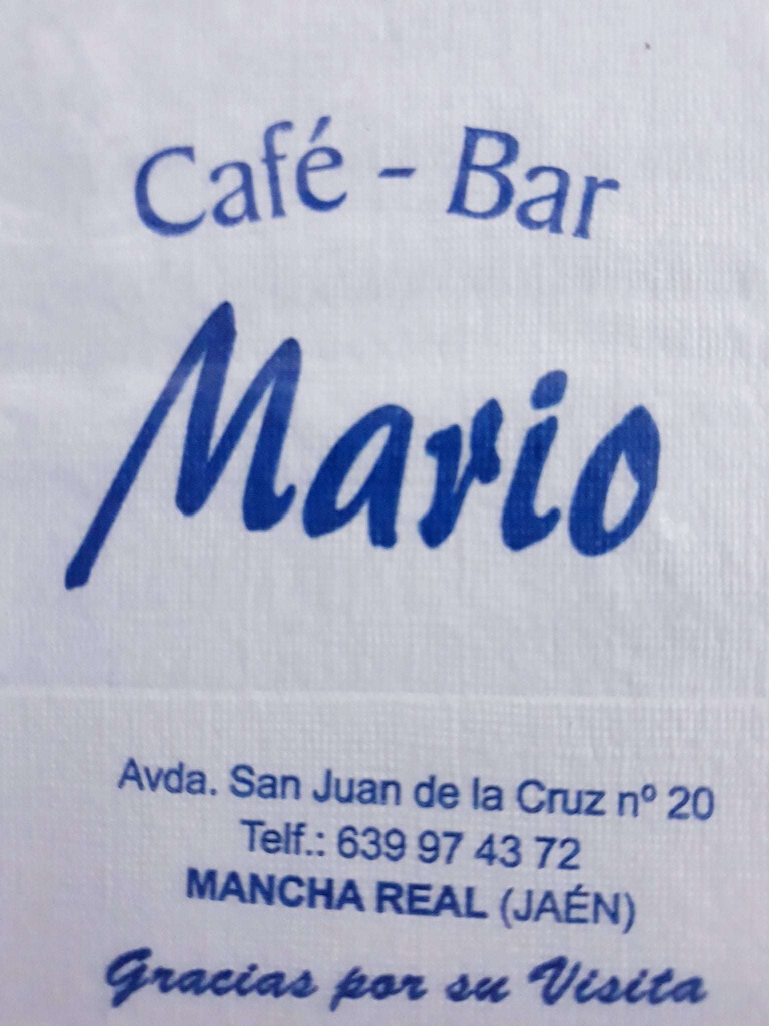 MARIO (MANCHA REAL)
