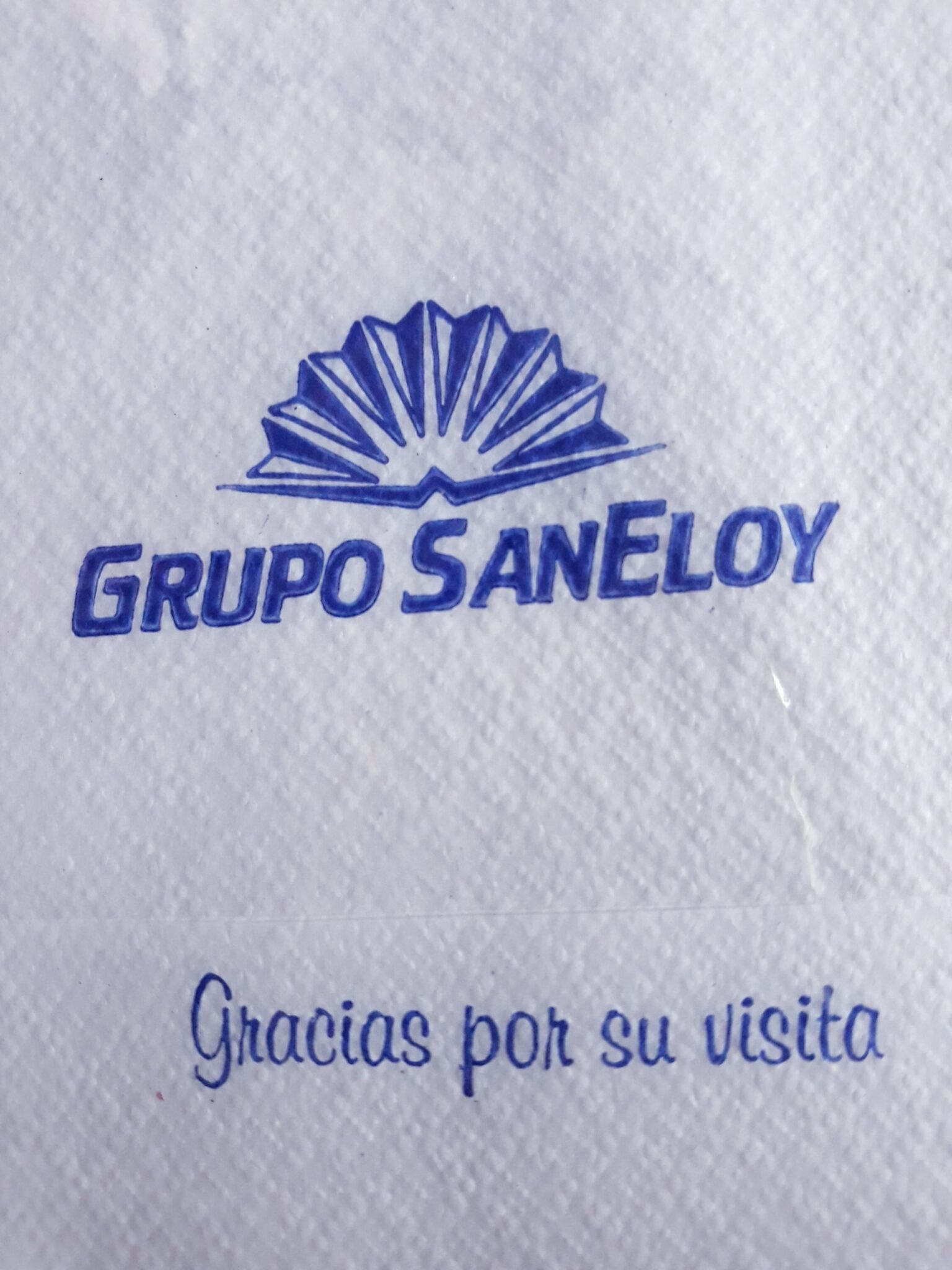 GRUPO SANELOY