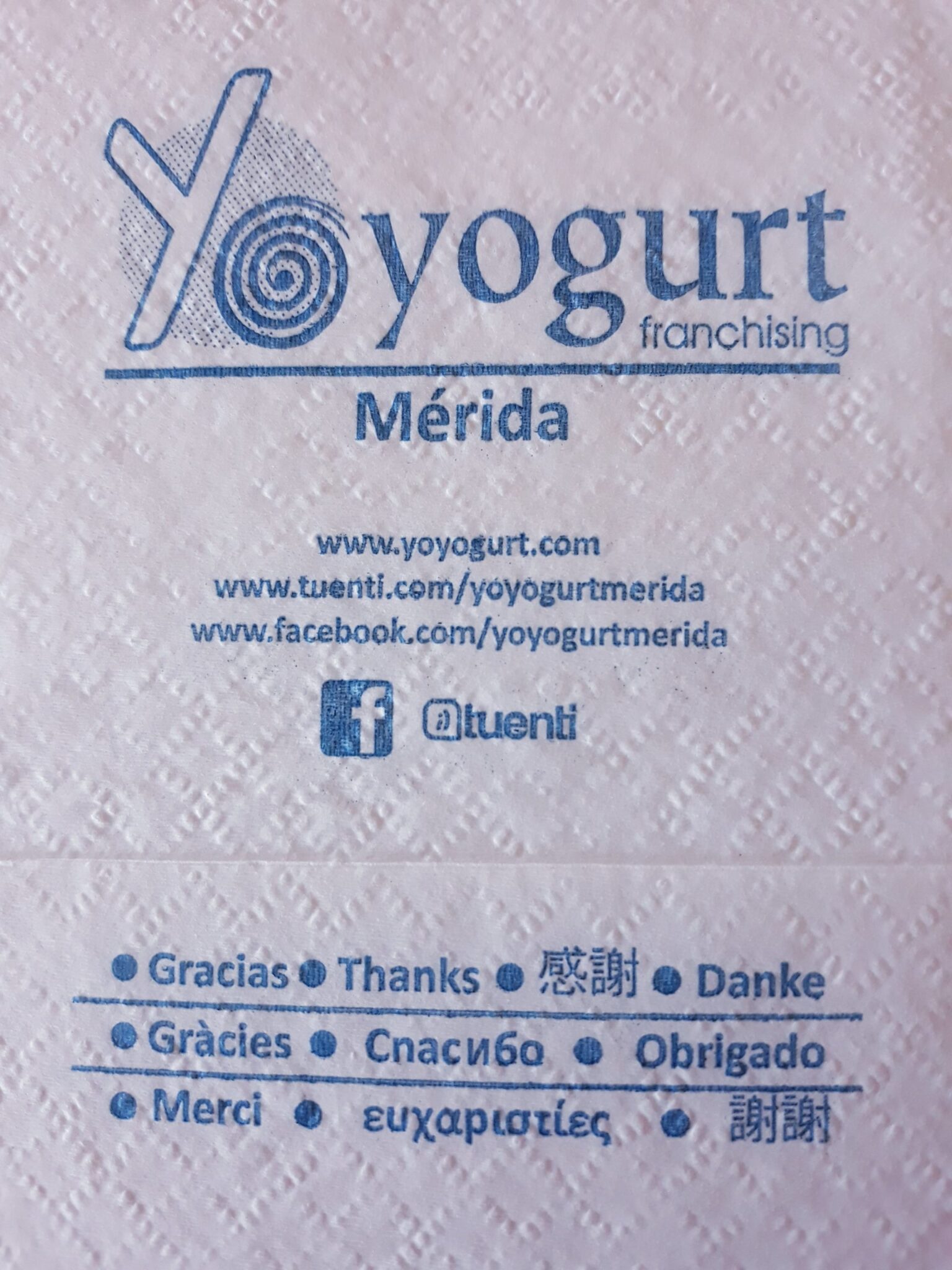 YO YOGURT (MERIDA)
