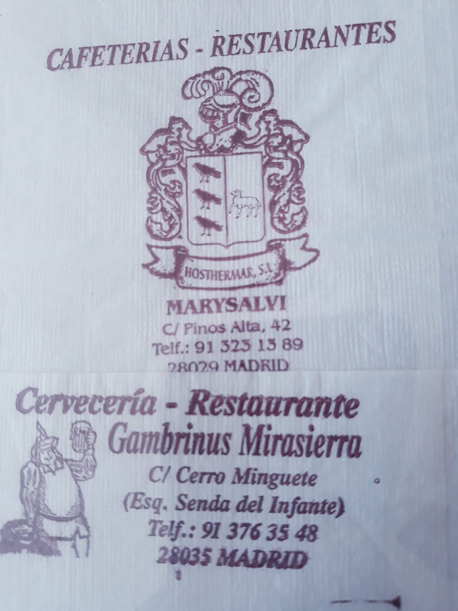 MARYSALVI GAMBRINUS MIRASIERRA