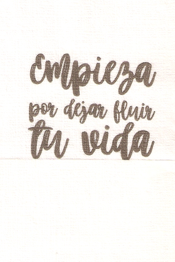 EMPIEZA POR DEJAR FLUIR TU VIDA