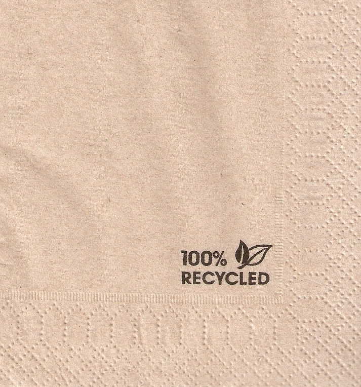 100 _ RECYCLED
