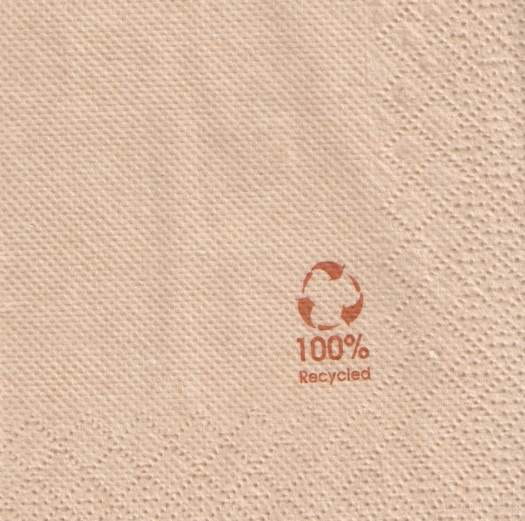 100_ RECYCLED