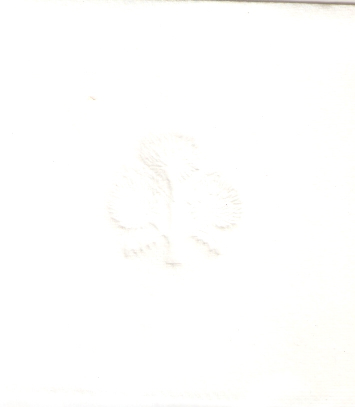 DIBUJO ESTAMPADO FLOR