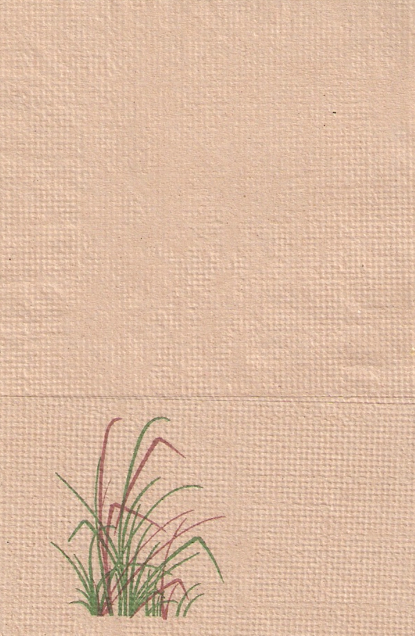 DIBUJO HIERBAS