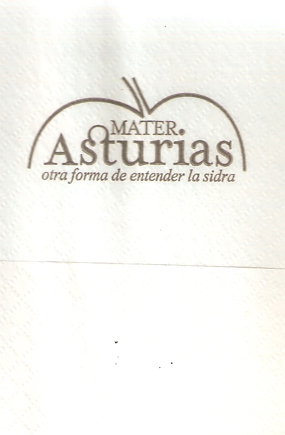 MATER ASTURIAS